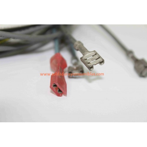 Lincoln Electric Plug & Lead Assembly S18250-603